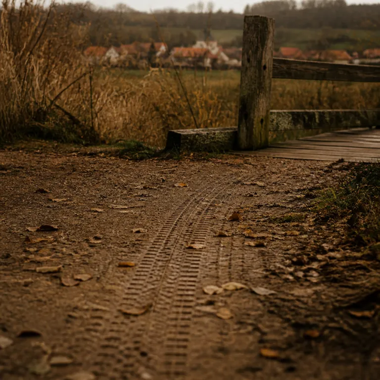 Cycling the Greenways: A Family Guide to Czech Republic's Long-Distance Bike Routes